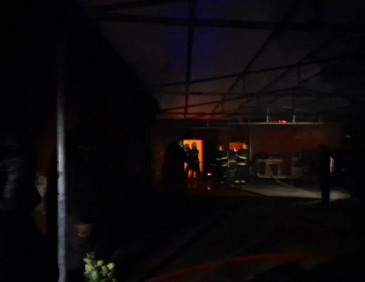 İmişlidə yanğın olub, yüzdən çox ev quşu tələf olub - YENİLƏNİB