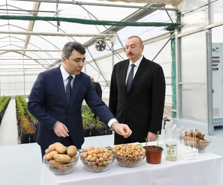 Prezident İlham Əliyev Tərəvəzçilik Elmi-Tədqiqat İnstitutunun açılışında iştirak edib - YENİLƏNİB