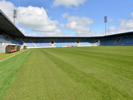 AFFA Bakıdakı stadionlardan birinin süni örtüyünü təbii ot örtüyü ilə əvəzləyib