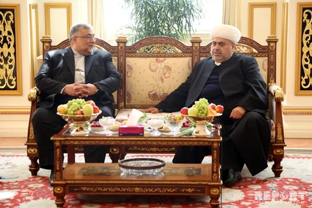 CMO Chairman: 'Some forces want to cast a shadow over Azerbaijani-Iranian relations'