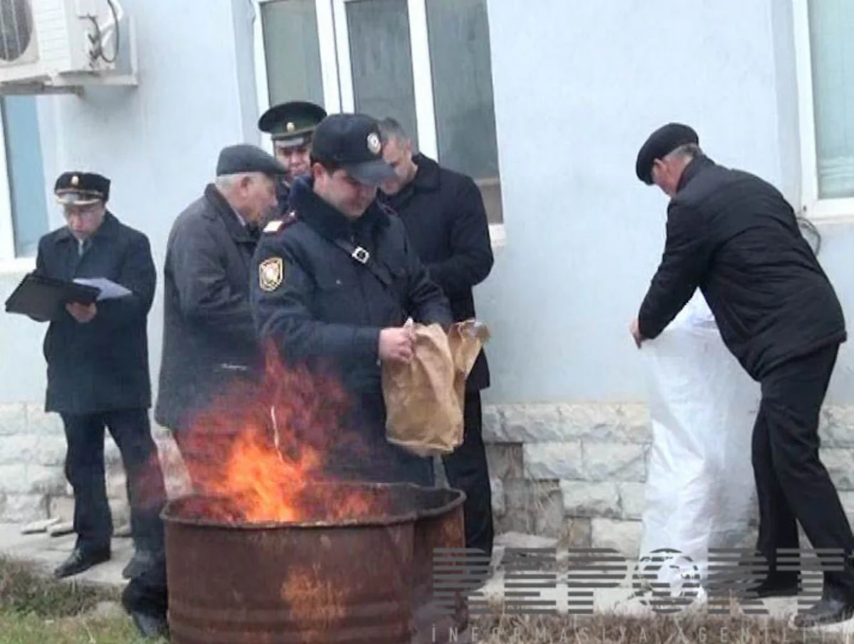 ​Salyanda 2 kq-dan artıq narkotik maddə məhv edilib - FOTO