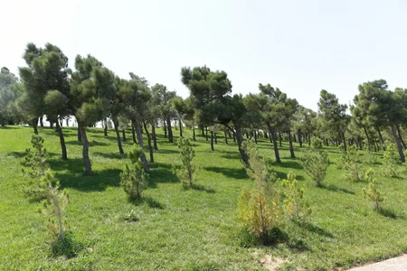 President, First Lady attend opening of new park in Baku