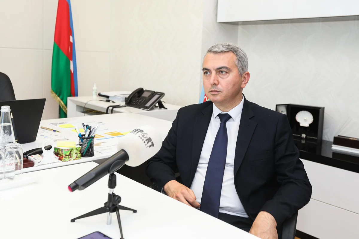 Will international pharmaceutical companies be interested in Pirallahi Industrial Park?