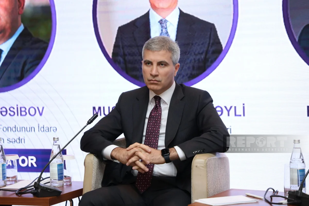 Agentlik sədri: İşsizlərin peşə kvalifikasiyası tələb olunan yeni peşələrə uyğun deyil