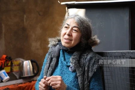 İnfarktdan ölən pişik, özünü heyvanlara həsr edən qadın - İçərişəhərdə 100-ə yaxın pişik saxlanılan evdən REPORTAJ - VİDEO