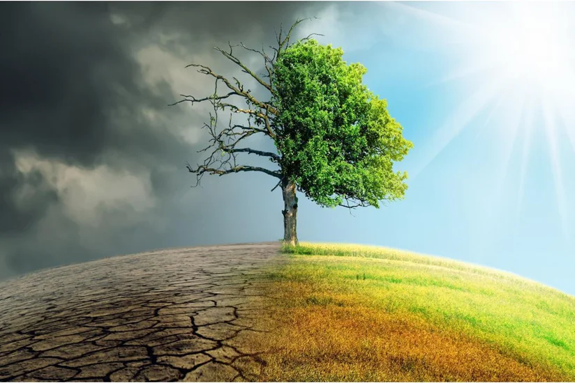 Azərbaycanda səhralaşmaya qarşı birgə mübarizə tədbirləri sürətləndirilir