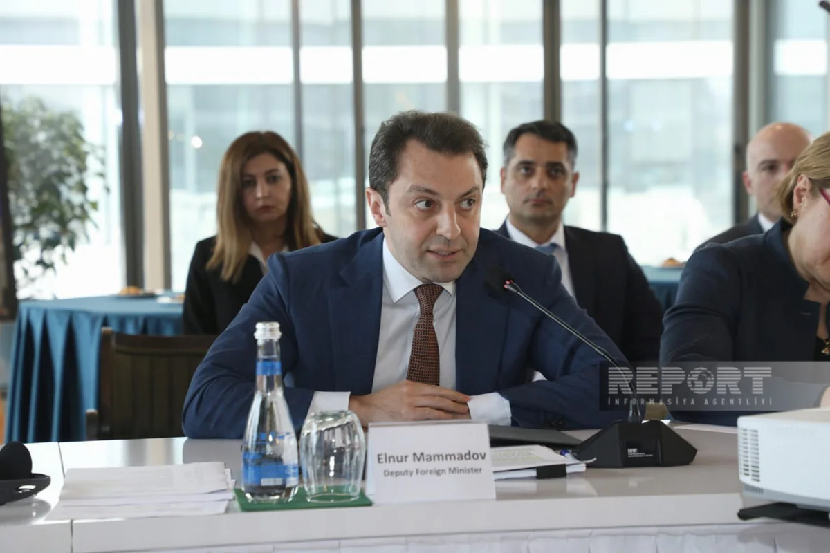 Deputy minister: Achieving SDGs is basis of strong cooperation between Azerbaijan, UN