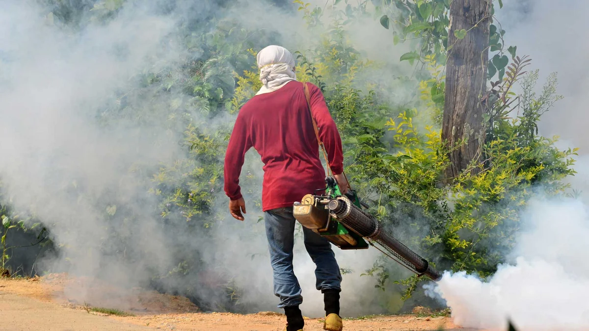 Dengue outbreak kills up to 300 in Sri Lanka
