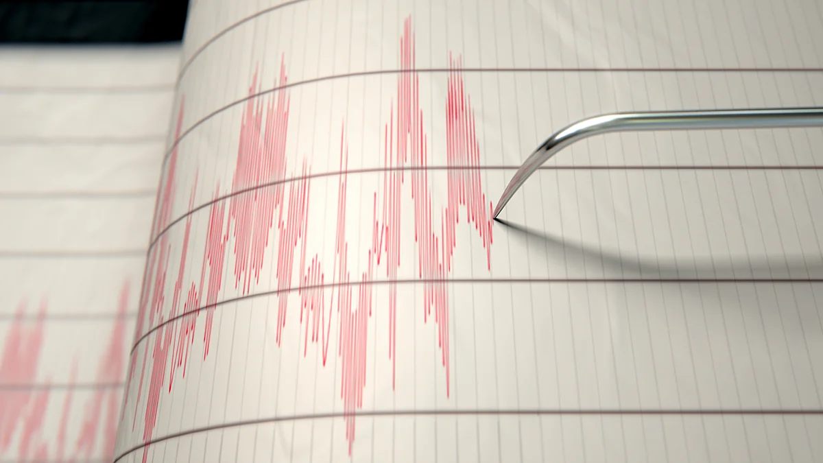 6.0-magnitude earthquake strikes Japan's Niigata prefecture