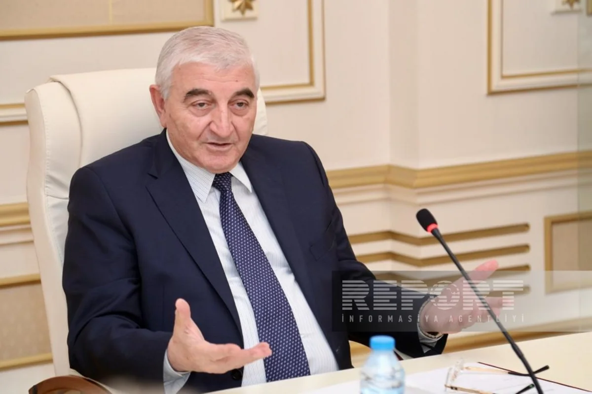 MSK sədri: “Beynəlxalq təşkilatlar məcburi köçkünlərin səsverməsi ilə bağlı problemlərlə heç vaxt maraqlanmayıblar”