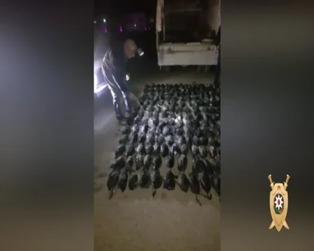 Üç rayonda qanunsuz ov edən şəxs saxlanılıb