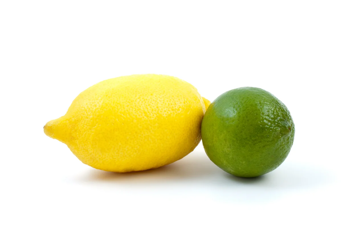 Misirdən Azərbaycana limon və laym tədarükü bərpa edilib