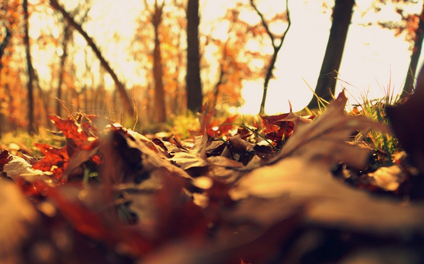 Astronomical autumn starts next week in Azerbaijan