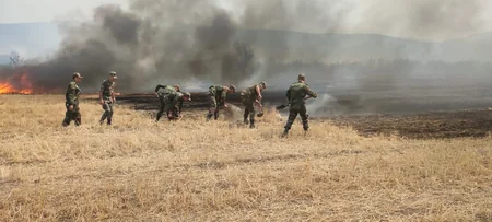 FHN yanğınlarla bağlı məlumat yayıb