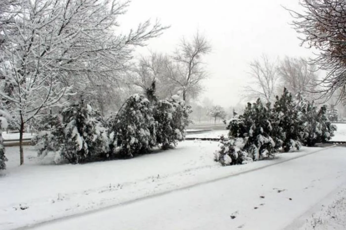 Bu il Naxçıvanda qar örtüyü az olub
