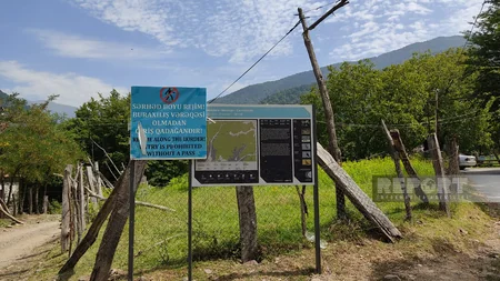 Zaqatalada itkin düşən yerli turistlər təxliyə olunub - YENİLƏNİB-3