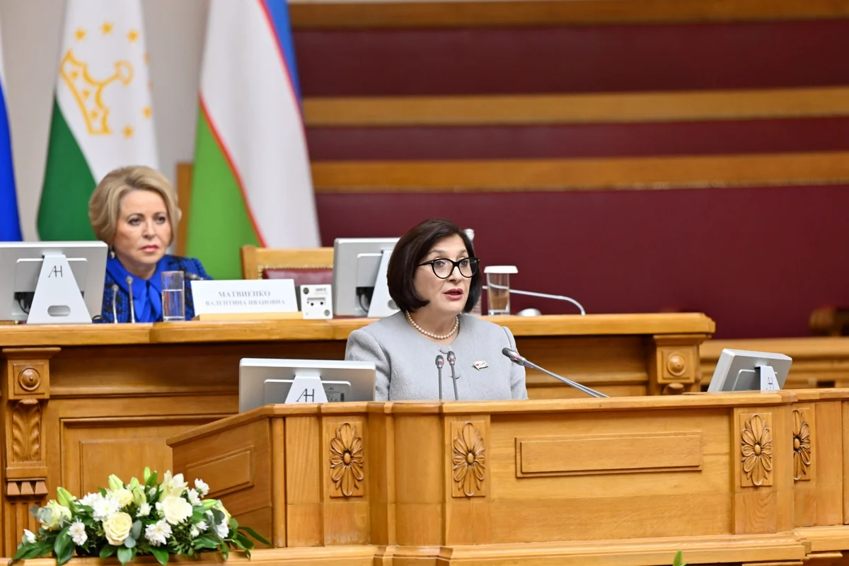 Speaker: COP29 successes inspire hope for consistent global climate action