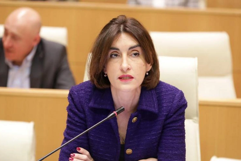 Глава МИД Грузии: Мы боролись за правду