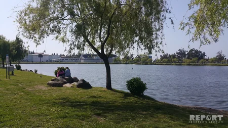 Батуми - жемчужина Черного моря, город с необычной архитектурой - РЕПОРТАЖ