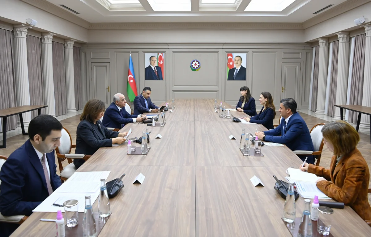 Baş nazir UNICEF-in Avropa və Mərkəzi Asiya üzrə regional direktoru ilə görüşüb