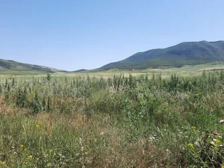 Ağdamda ermənilərə məxsus fosforlu mərmilər aşkarlanıb