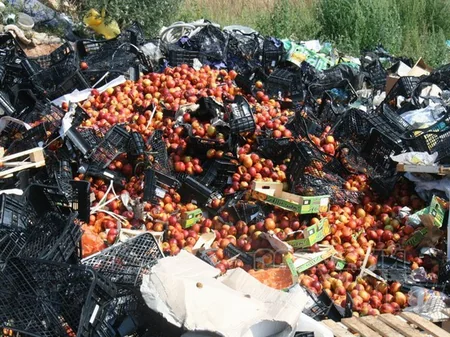​Жители Смоленска уносят с полигона уцелевшие санкционные продукты