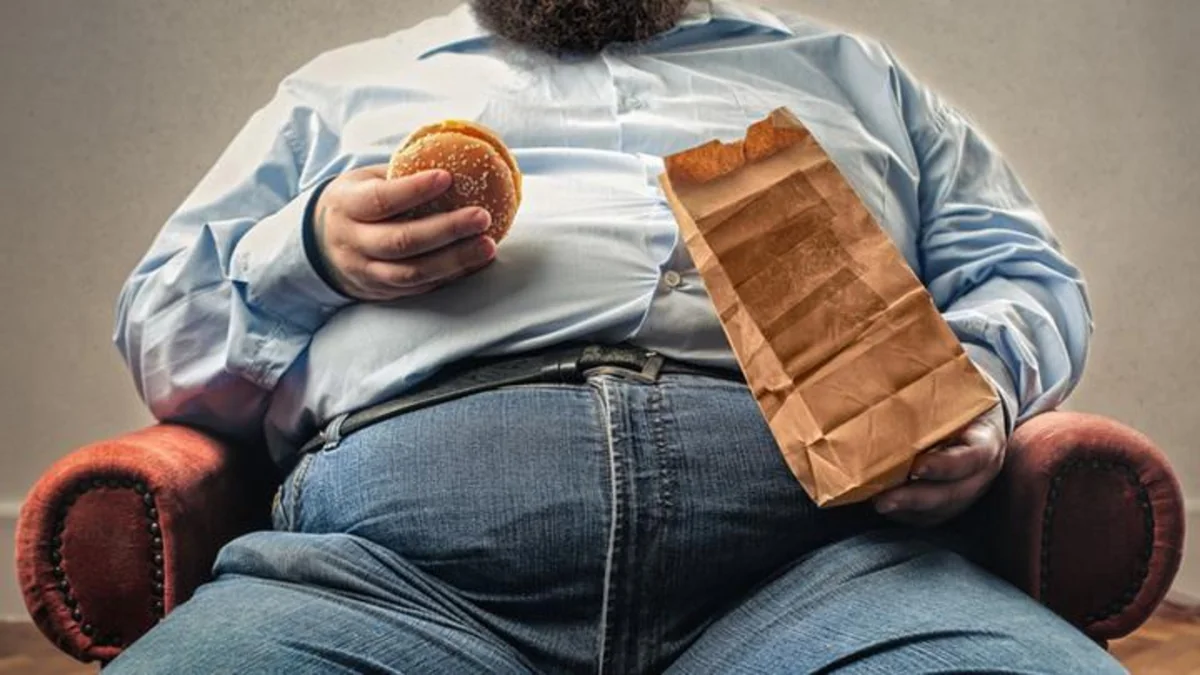 More than half of humans on track to be overweight or obese by 2035