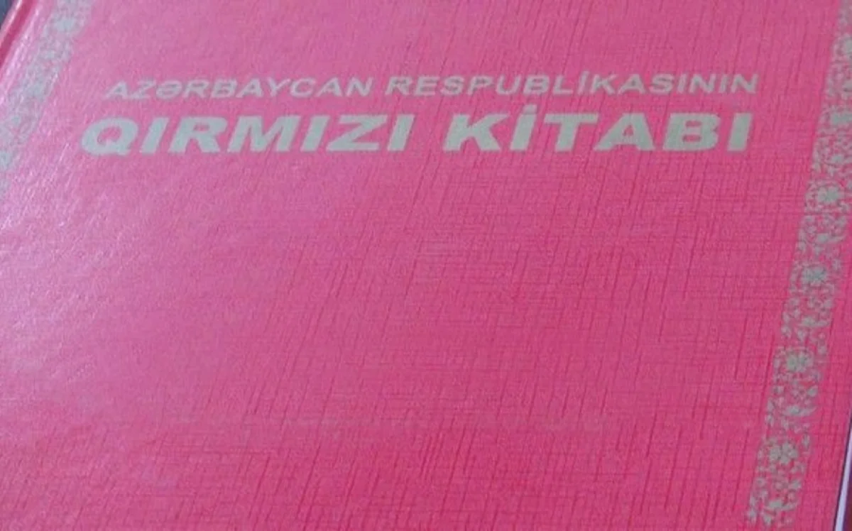 “Qırmızı kitab”a salınacaq bitkilərin monitorinqi aparılıb