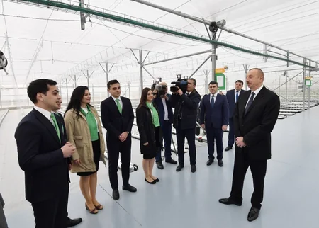 Prezident İlham Əliyev Tərəvəzçilik Elmi-Tədqiqat İnstitutunun açılışında iştirak edib - YENİLƏNİB