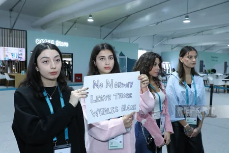 İsveçrə, Kanada və Böyük Britaniya ekofəalları COP29-da balina ovuna qarşı etiraz aksiyası keçirib