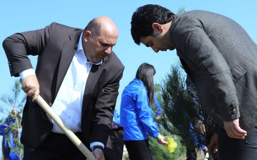 Prezidentin xüsusi nümayəndəsi Ağdamda gənclərlə ağac əkib
