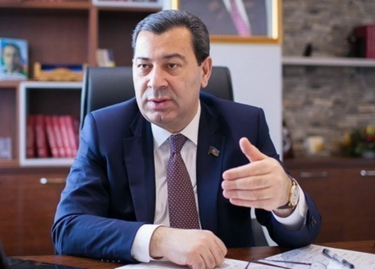 Samed Seyidov calls on PACE to stop pressure on Azerbaijan