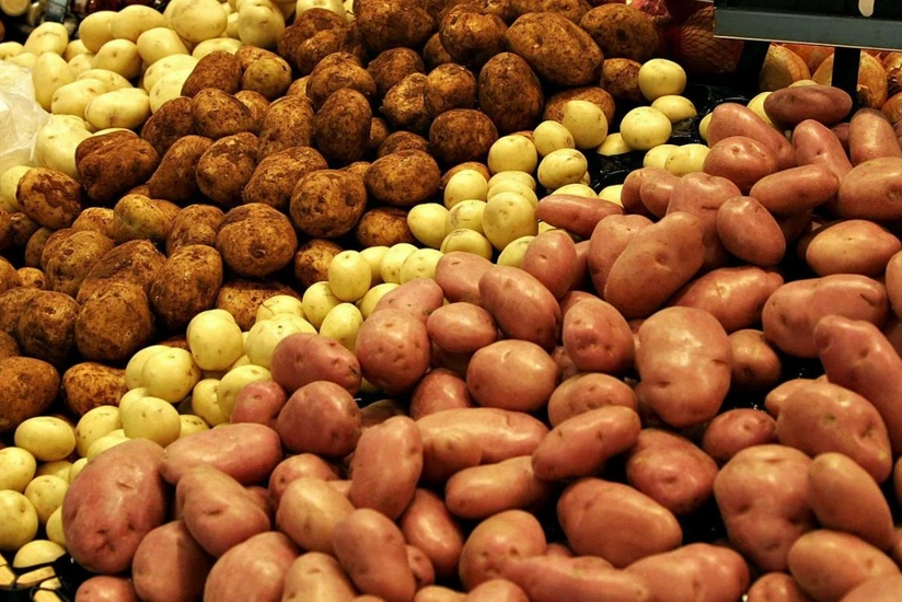 Azerbaijan - second biggest importer of potatoes from Ukraine