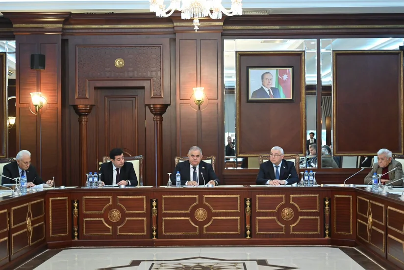 Komitə sədri: Dünyada hər ay 500-800 nəfər mina qurbanı olur