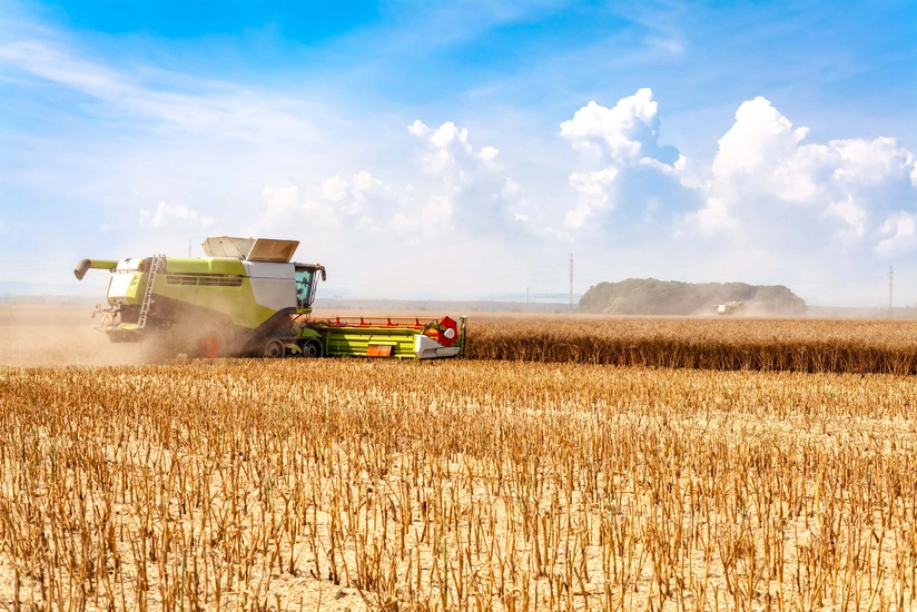 Gürcüstanın taxıl ehtiyatı tükənib