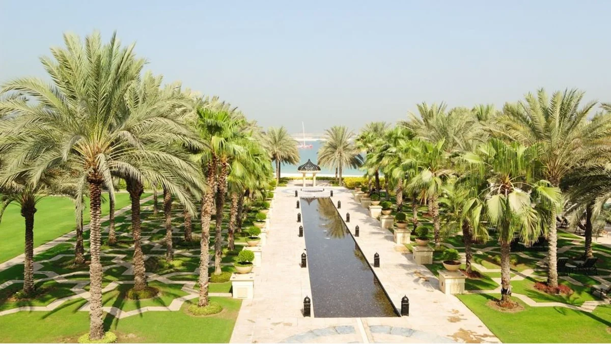 В Саудовской Аравии посадят 10 млрд деревьев