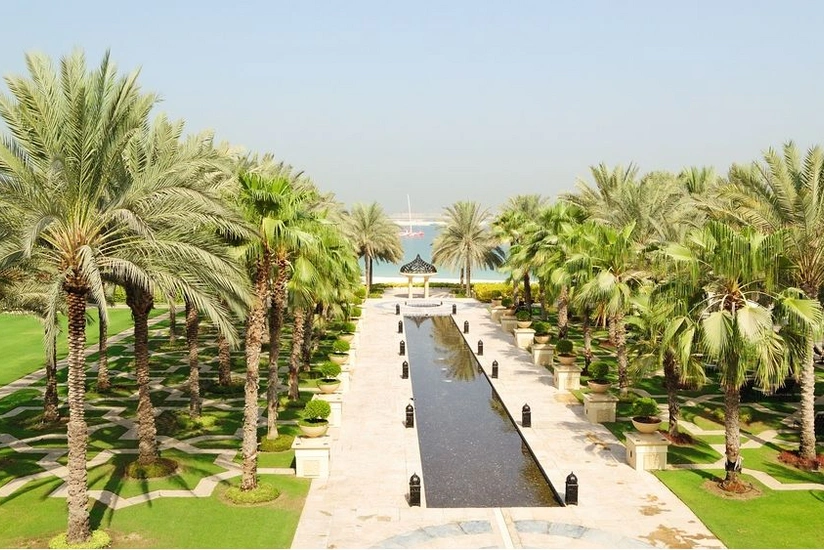 В Саудовской Аравии посадят 10 млрд деревьев