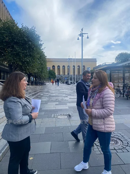 Azerbaijani diaspora organization in Sweden holds action