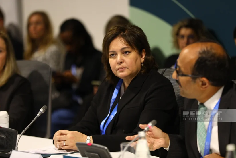 Umayra Tağıyeva: İqlim məlumatları ilə bağlı erkən xəbərdarlıq sistemləri inkişaf etdirilməlidir