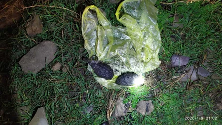 Qaradağda mina hadisəsi baş verib, 1 nəfər xəsarət alıb