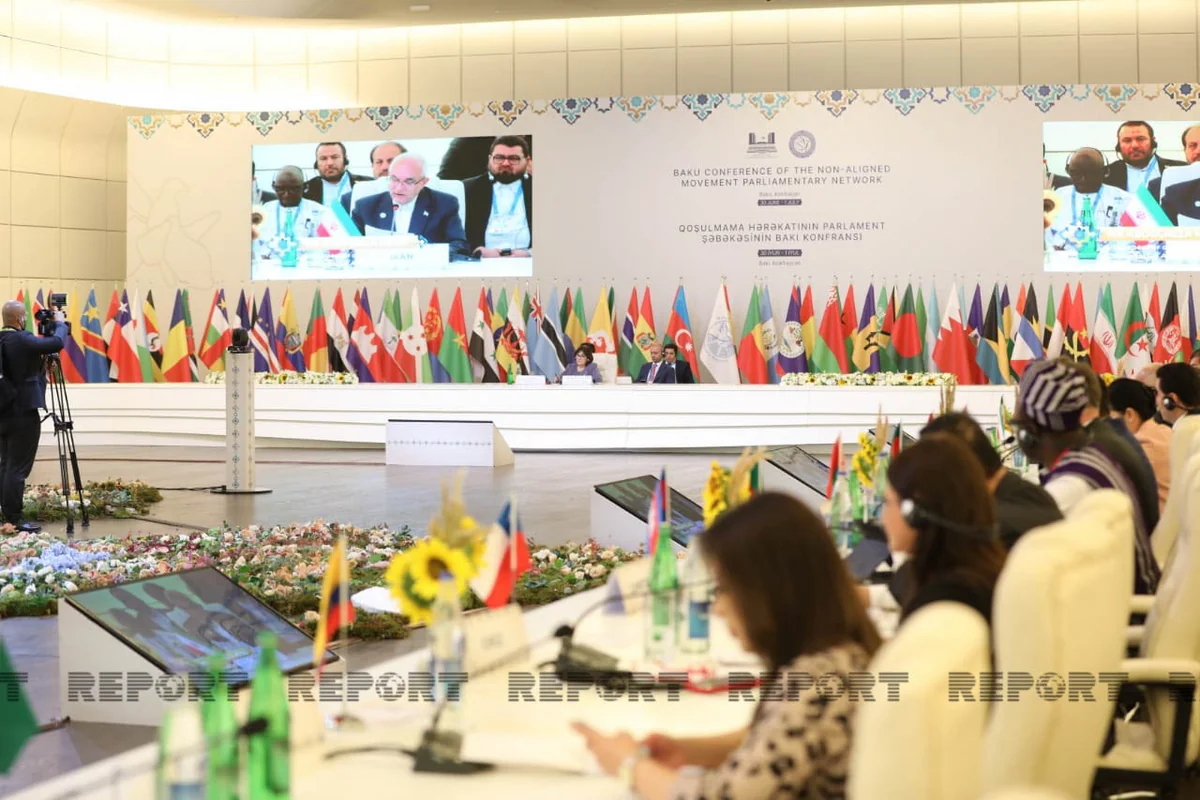 Baku Conference of NAM Parliamentary Network continues