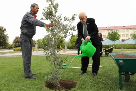 SOCAR “Heydər Əliyev İli” çərçivəsində ağacəkmə aksiyası təşkil edib