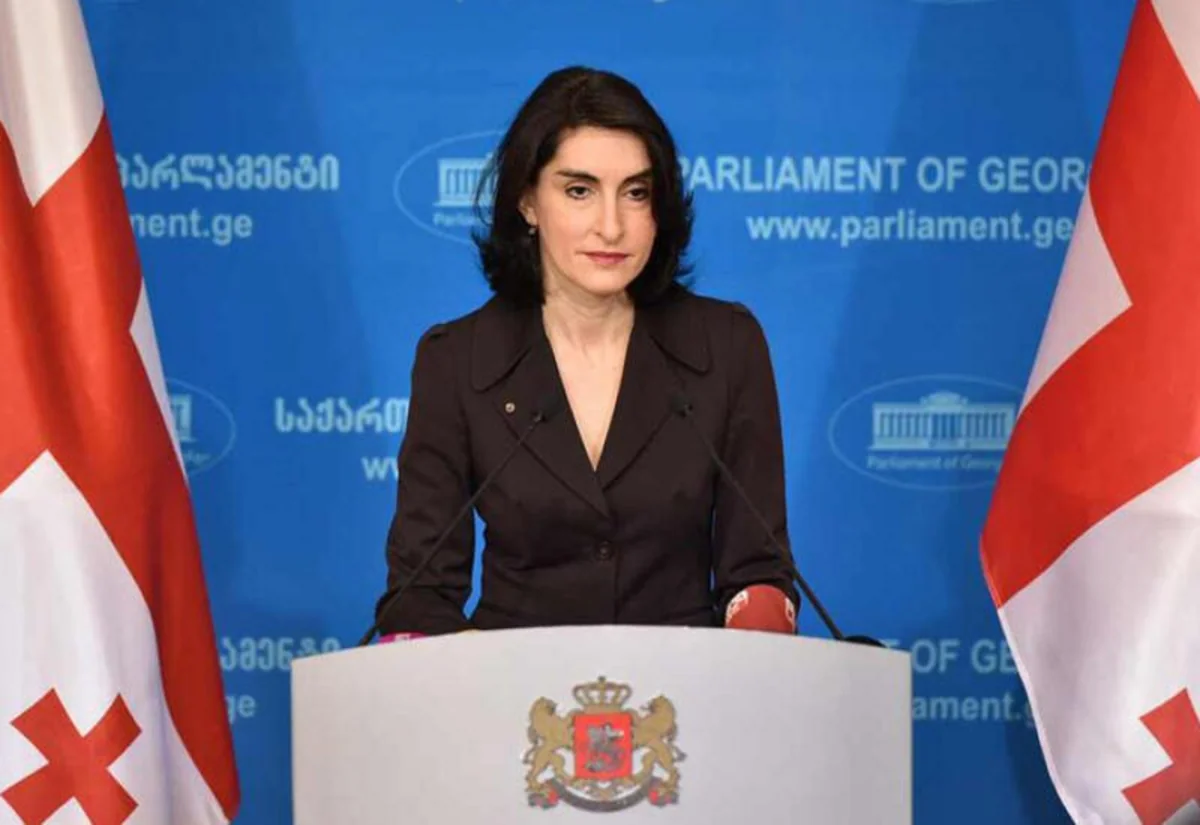 FM Bochorishvili: Maidan scenario for Georgia was not only discussed but prepared