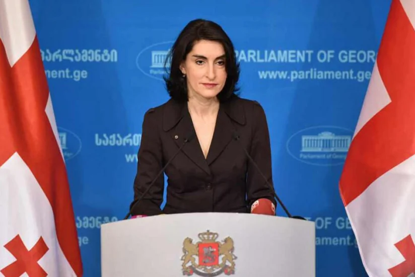 FM Bochorishvili: Maidan scenario for Georgia was not only discussed but prepared