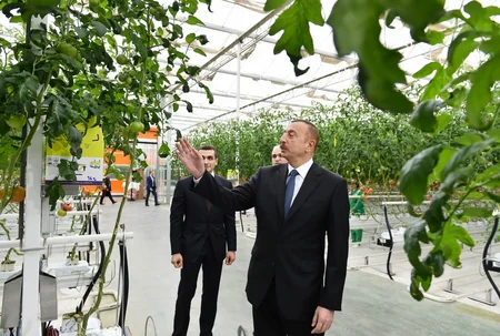 Prezident İlham Əliyev Zirə qəsəbəsində “BAKU AGROPARK”da görülən işlərlə tanış olub