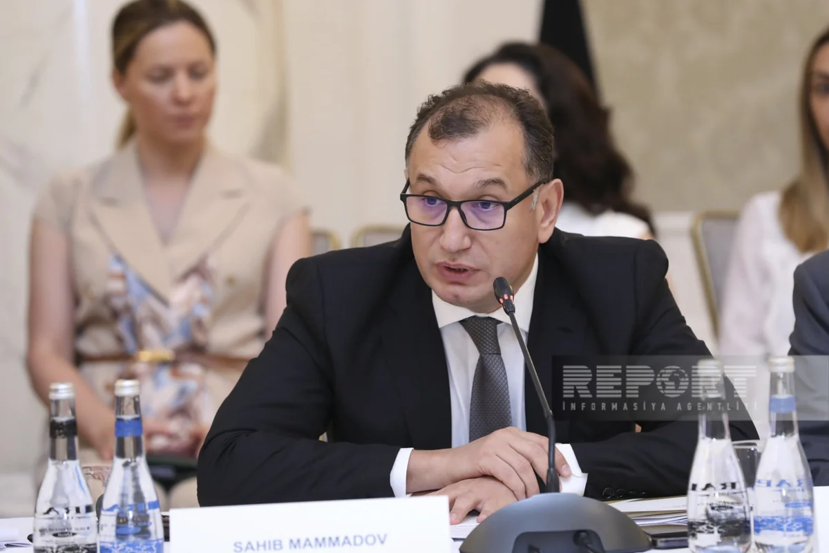 Mutual investment volume between Azerbaijan and Serbia announced