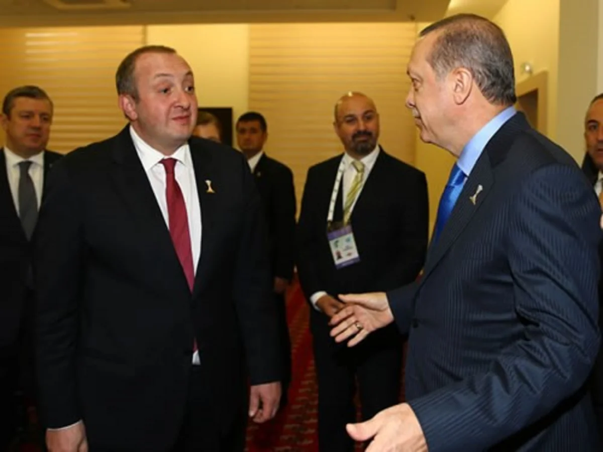 Türkiyə və Gürcüstan prezidentləri Bakı-Tiflis-Qars layihəsini müzakirə ediblər