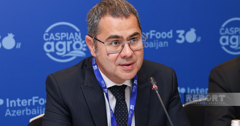 Bakıda keçirilən kənd təsərrüfatı və qida sənayesi sərgilərinin formatı gələn ildən dəyişdiriləcək
