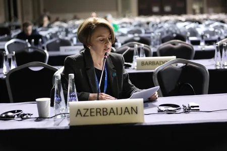Rana Humbatova: Azerbaijan focuses on exporting renewable electricity to EU