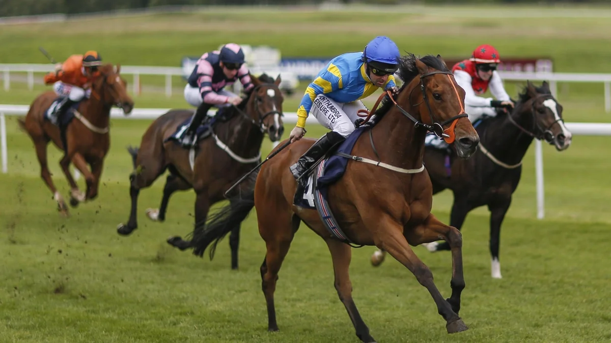 Yorğa atları üzrə respublika birinciliyi keçiriləcək